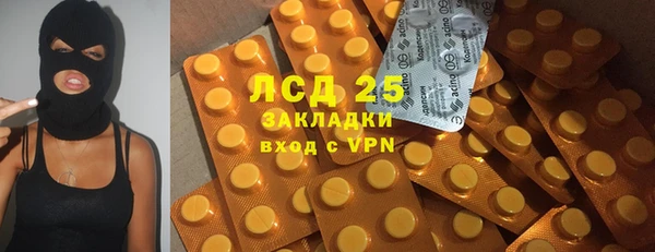 прущие грибы Краснотурьинск