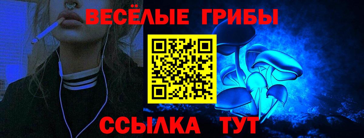 Галлюциногенные грибы Psilocybe Лабинск