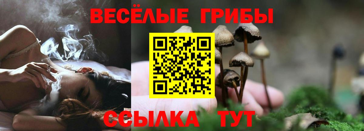 Псилоцибиновые грибы MAGIC MUSHROOMS  Вход с VPN  Лабинск 