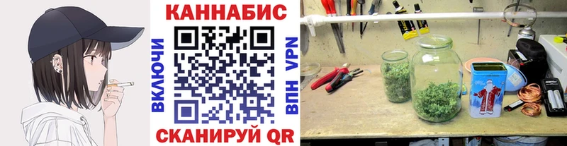 Шишки марихуана сатива наркота Лабинск